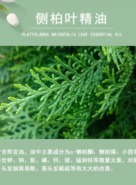 侧柏叶精油护发滋养香薰