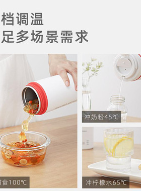 SDRNKA烧水杯可调温保温杯