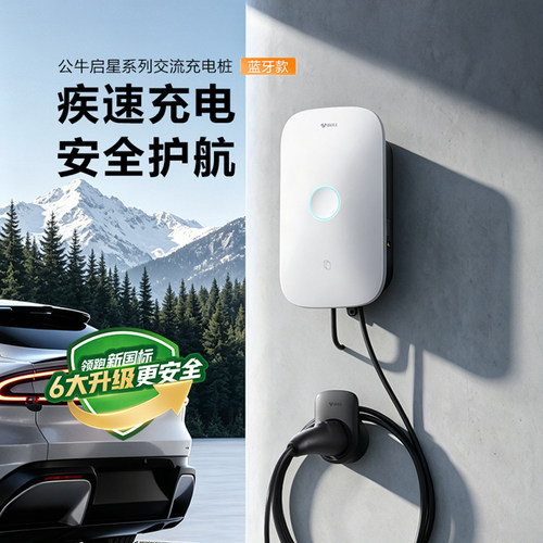 理想L6L7L8L9家用充电桩公牛新能源通用启星充电枪线器7KW快充桩 - 图3