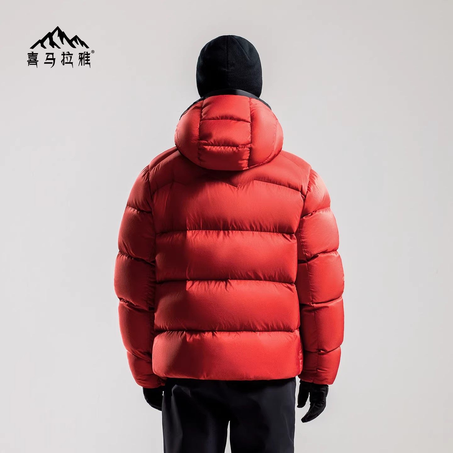 骆驼喜马拉雅玉龙鹅绒羽绒服男2025冬季新款户外800蓬保暖外套女,淘宝优惠券,粉丝福利购,淘宝优惠卷