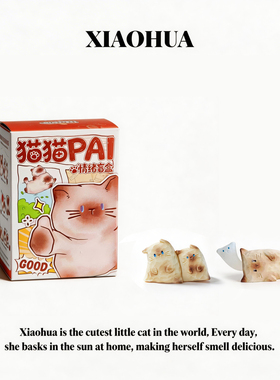 猫咪PAI情绪盲盒治愈系桌面摆件