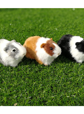 仿真兰猪仓鼠天竺鼠葵鼠