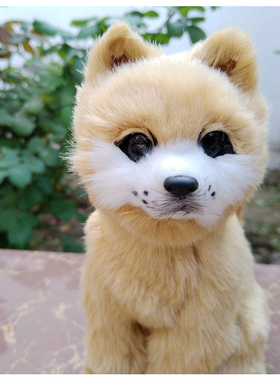 仿真动物秋田犬仿真狗摆件
