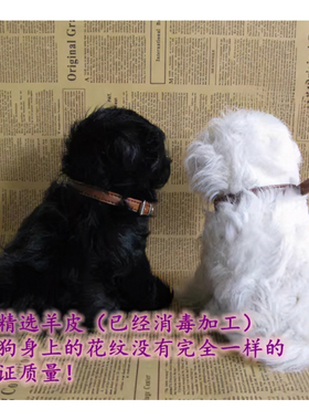 仿真动物狗泰迪犬山羊皮毛摆件