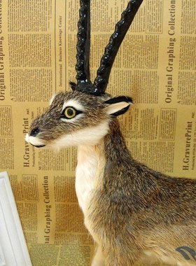 摄影道具礼品仿真动物