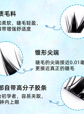 大容量山茶花升级款假睫毛  自然仿真免胶水东南亚自粘眼睫毛