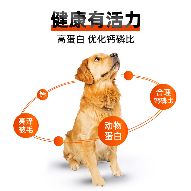冠邦狗粮1.5kg泰迪贵宾柯基成犬粮金毛比熊博美萨摩耶狗粮天然粮 - 图3