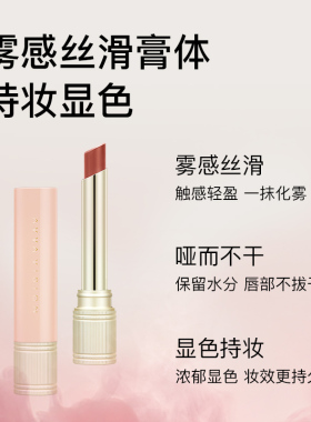 AVVA艾微盈润哑光唇膏