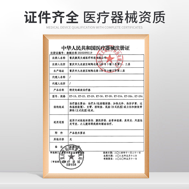 Gagarin double-headed infrared + electromagnetic wave therapy lamp