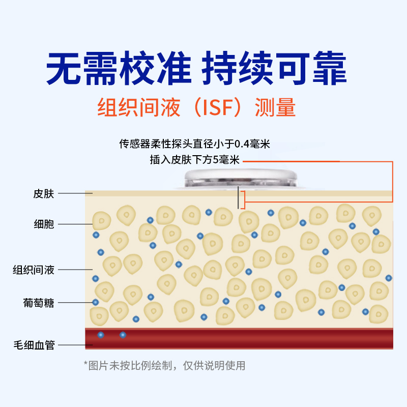 雅培瞬感传感器血糖探头免扎针无创血糖仪不扎针动态血糖仪测试仪-图2