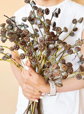 云南钻石尤加利果老果十字果真花干花花束原木家居装饰插花摆件