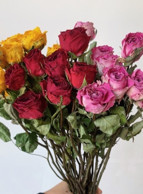 玫瑰花干花花束天然真花相框diy花材客厅家居装饰摆件节日送人
