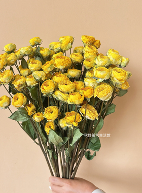 暖黄色多头玫瑰天然真花干花花束家居高级插花装饰摆设黄亦玫玫瑰