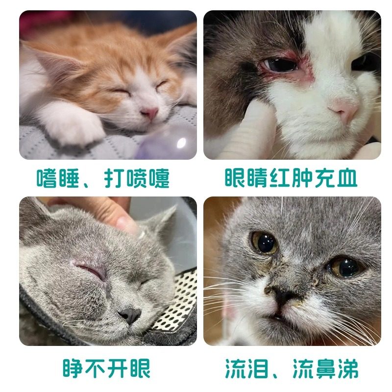 博莱得利滴眼液猫咪滴鼻液猫鼻支宠物眼药水疱疹病毒眼睛发炎消炎,淘宝优惠券,粉丝福利购,淘宝优惠卷