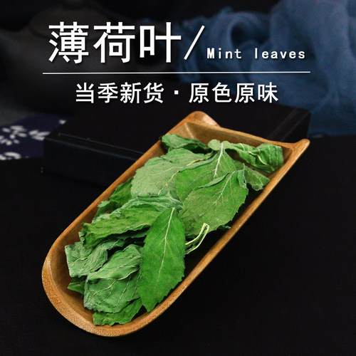 薄荷叶中药材静萱正品食用薄荷叶干货薄荷叶粉非野生薄荷叶茶泡水 - 图3