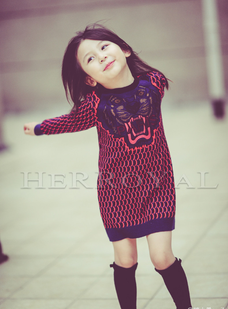 HERROYAL女童裙潮爆秋冬刺绣连衣裙宝宝毛衣裙中大童亲子裙洋气,淘宝优惠券,粉丝福利购,淘宝优惠卷