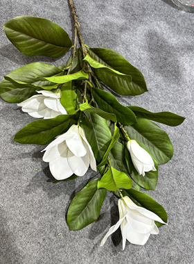 仿真玉兰花树大型假花