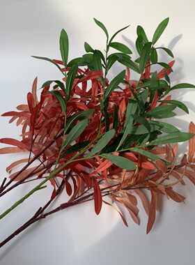 橄榄叶ins居家婚庆插花仿真植物