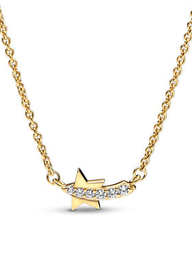 潘家S925纯银雪花花朵标本矩形吊坠锁骨链素链精致小众项链送女友