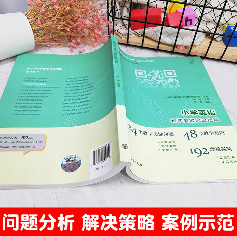 小学英语教学关键问题指导 朱浦 王蔷 中小学学科教学关键问题指导丛书 高等教育出版社 24个问题 48个案例192段视频,淘宝优惠券,粉丝福利购,淘宝优惠卷