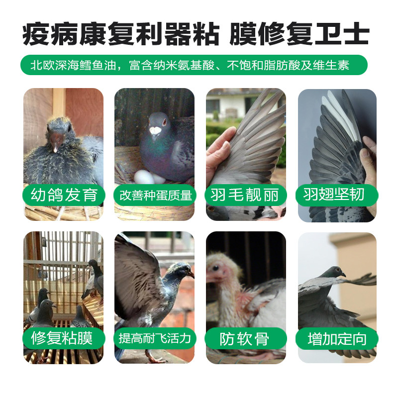 汉诺威鸽业氨维鱼肝油鸽用补维生素氨基酸磷钙信幼鸽子营养保健品,淘宝优惠券,粉丝福利购,淘宝优惠卷