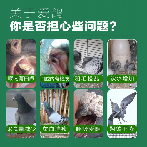 Ганноверское лекарство для голубей взлетает в небо, специальное голубиное лекарство от трихомонады в верхних и нижних дыхательных путях голубей, таблетка два в одном, неголубиное лекарство