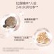 Chando Truffle Water Glow Foundation B01 ຂາວໃສ