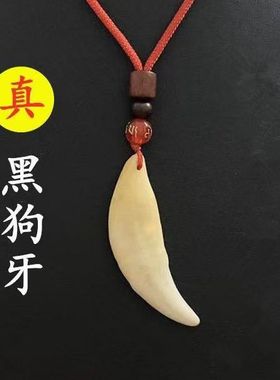真品黑狗牙真品婴儿狗牙特大号床头纯天然狗牙齿真牙成人狼牙吊坠