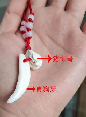 黑狗牙吊坠项链真藏獒牙齿挂件坠狼牙男女士宝宝女本命年随身饰品