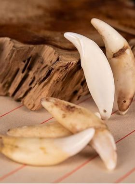 真黑狗狗牙藏獒儿童项链