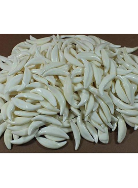 黑狗牙天然狗牙真狗牙齿藏獒犬牙宝宝儿童吊坠项链男士民族风吊坠