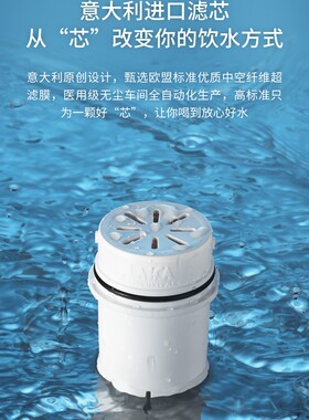 意大利滤水壶滤芯直饮净水器