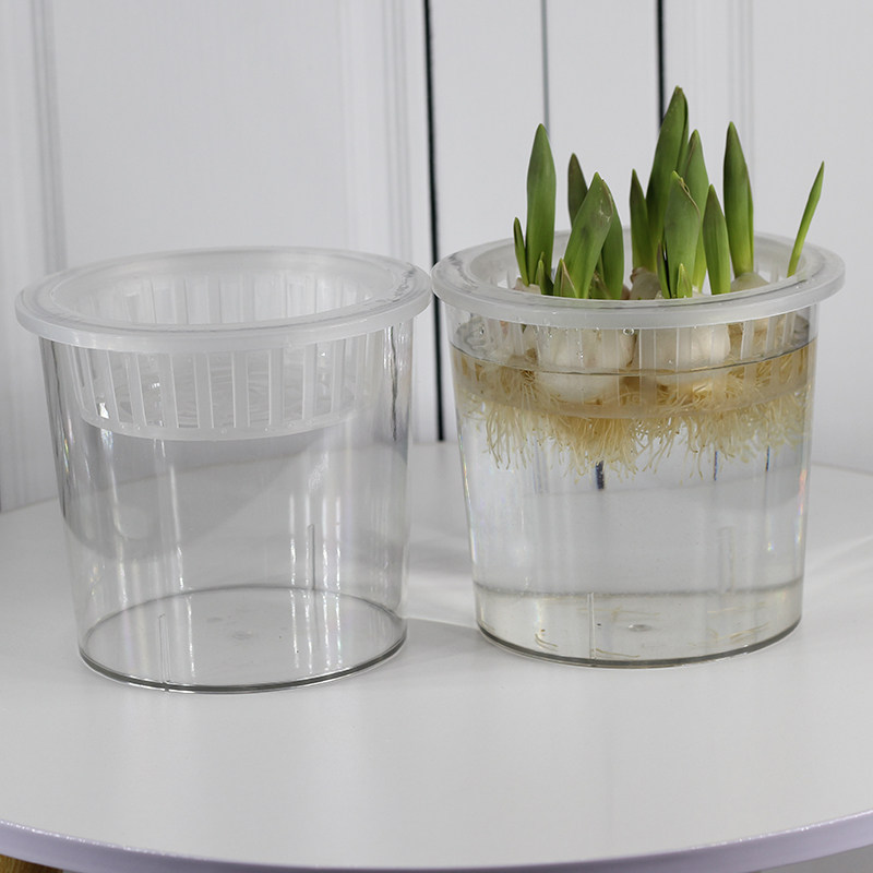 宅鹏加大塑料透明郁金香水培器皿花盆萝卜红薯土豆绿植种球定植篮,淘宝优惠券,粉丝福利购,淘宝优惠卷