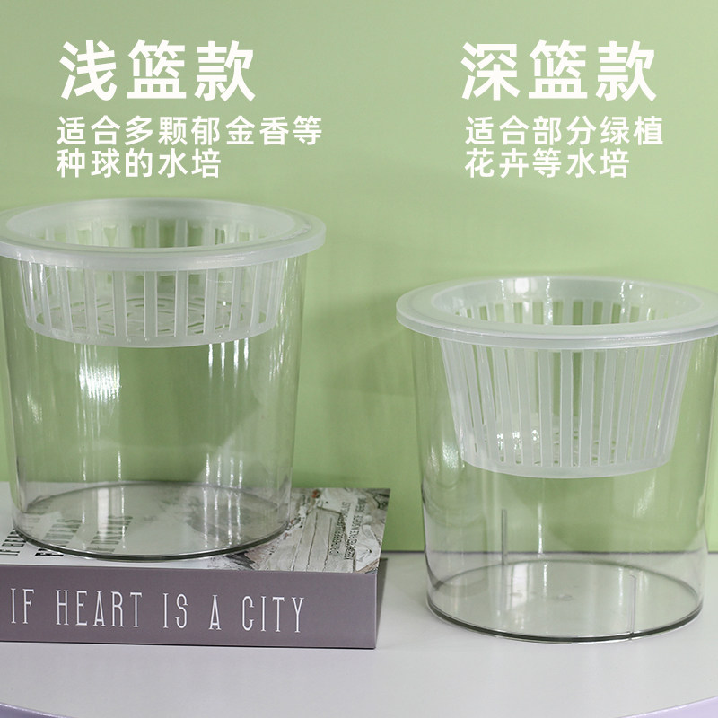 宅鹏加大塑料透明郁金香水培器皿花盆萝卜红薯土豆绿植种球定植篮,淘宝优惠券,粉丝福利购,淘宝优惠卷