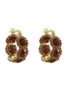 秋冬款美拉德咖色水晶圆圈耳环女轻奢小众高级感个性夸张耳圈耳钉