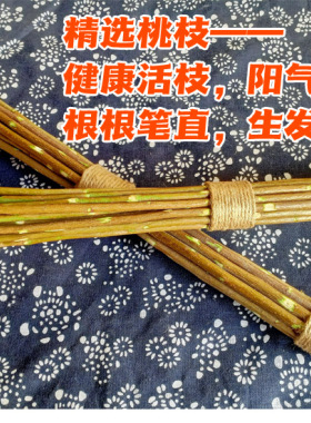 经络养生/桃枝拍打棒/按摩棒经络拍/中医自然疗法不药而愈/拍八虚