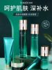 Tingmei Resurrection Grass Lotion Women's Hydrating and Moisturizing Flagship Store