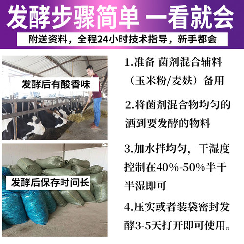 秸秆发酵剂玉米桔杆青储剂干草甜象草桔梗牧草发孝粉乳酸菌鹅牛羊 - 图2