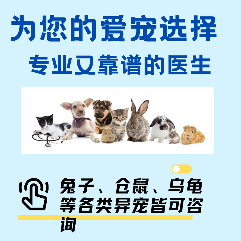 宠物医生24小时在线问诊兽医咨询猫咪狗狗异宠仓鼠乌龟专家疾病诊-图2