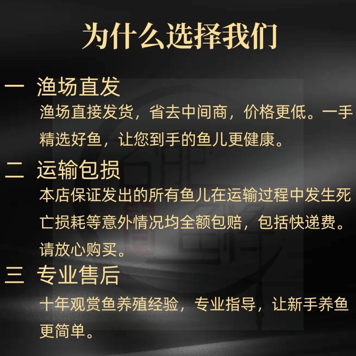 观背青鳉观赏鱼冷水鱼小型锦鲤金鱼淡水鱼不打氧好养活体青鱂鱼-图2