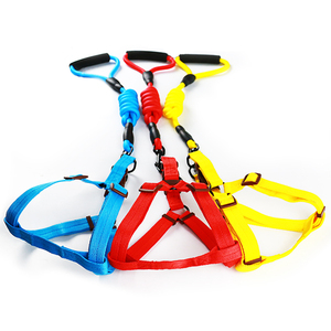 狗狗牵引绳狗链