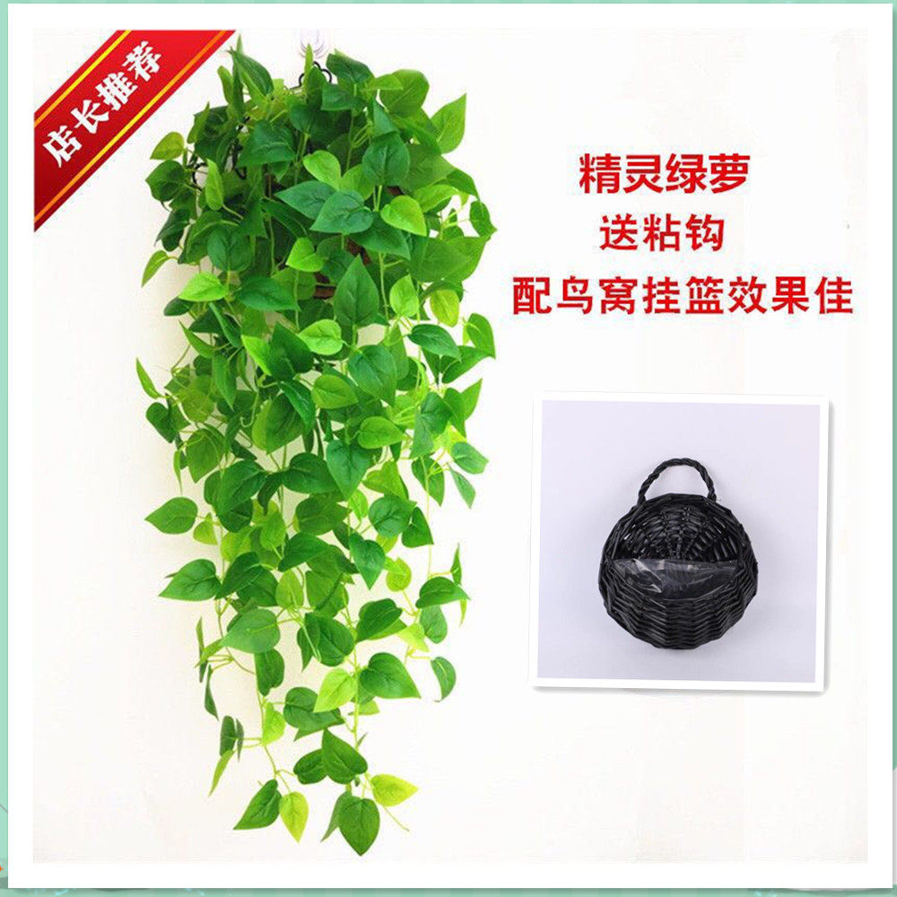 仿真绿萝植物假绿叶吊兰装饰壁挂藤条叶子塑料室内吊篮挂墙假花藤,淘宝优惠券,粉丝福利购,淘宝优惠卷