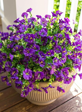 新品牵牛花假花仿真花束单支塑料绢布干花花坛栅栏花插花田园装饰