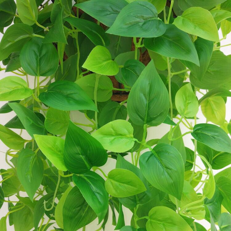 仿真绿萝植物假绿叶吊兰装饰壁挂藤条叶子塑料室内吊篮挂墙假花藤,淘宝优惠券,粉丝福利购,淘宝优惠卷