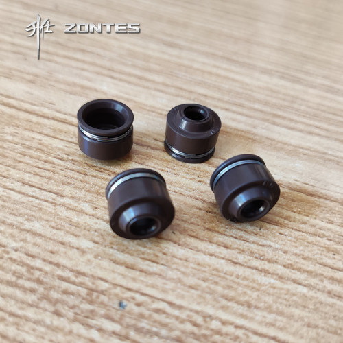 升仕ZT310-XTRV12 ZT250-S/R摩托车进气门排气门油封发动机配件 - 图1