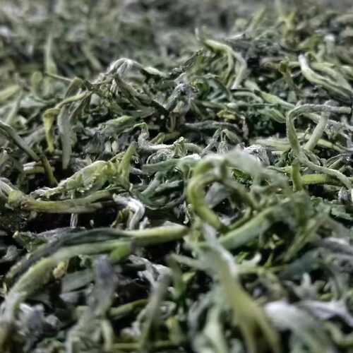 【2026新茶】高山云雾茶叶涌溪火青500g包邮安徽泾县散装绿茶耐泡 - 图0