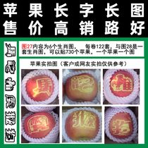 Adhesive tape type sticker apple lettuzodiac 1 figure 27 each roll of 6 looks and figure 28 to compose a set full of 100