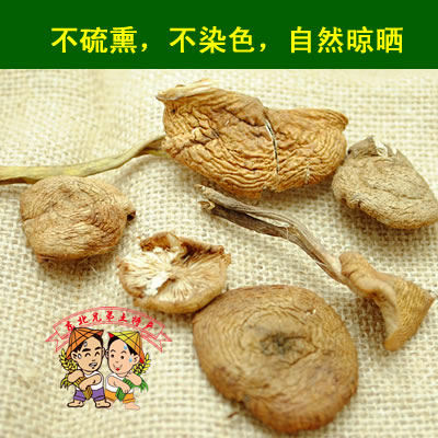 东北特产榛蘑丁干货小鸡炖榛蘑菇无根长白山蘑菇山货500g包邮 - 图1