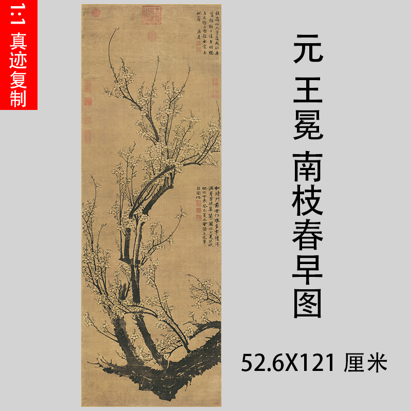 元 王冕 南枝春早圖 二玄社 掛軸 cigmc.ro