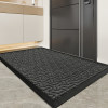 Dajiang entrance door floor mat household stain-resistant foot mat